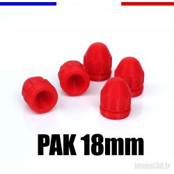 5 slugs 18mm pour PAK